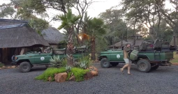 Mziki Safari Lodge