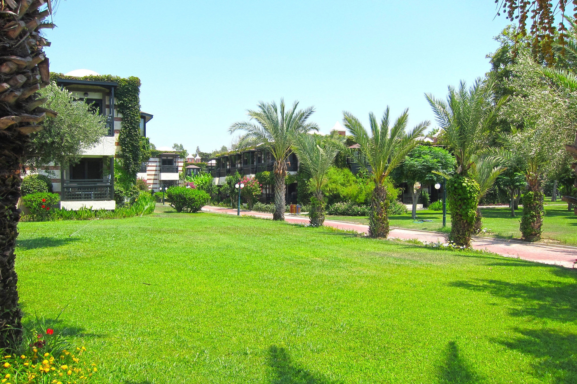 Paloma Paradise Beach