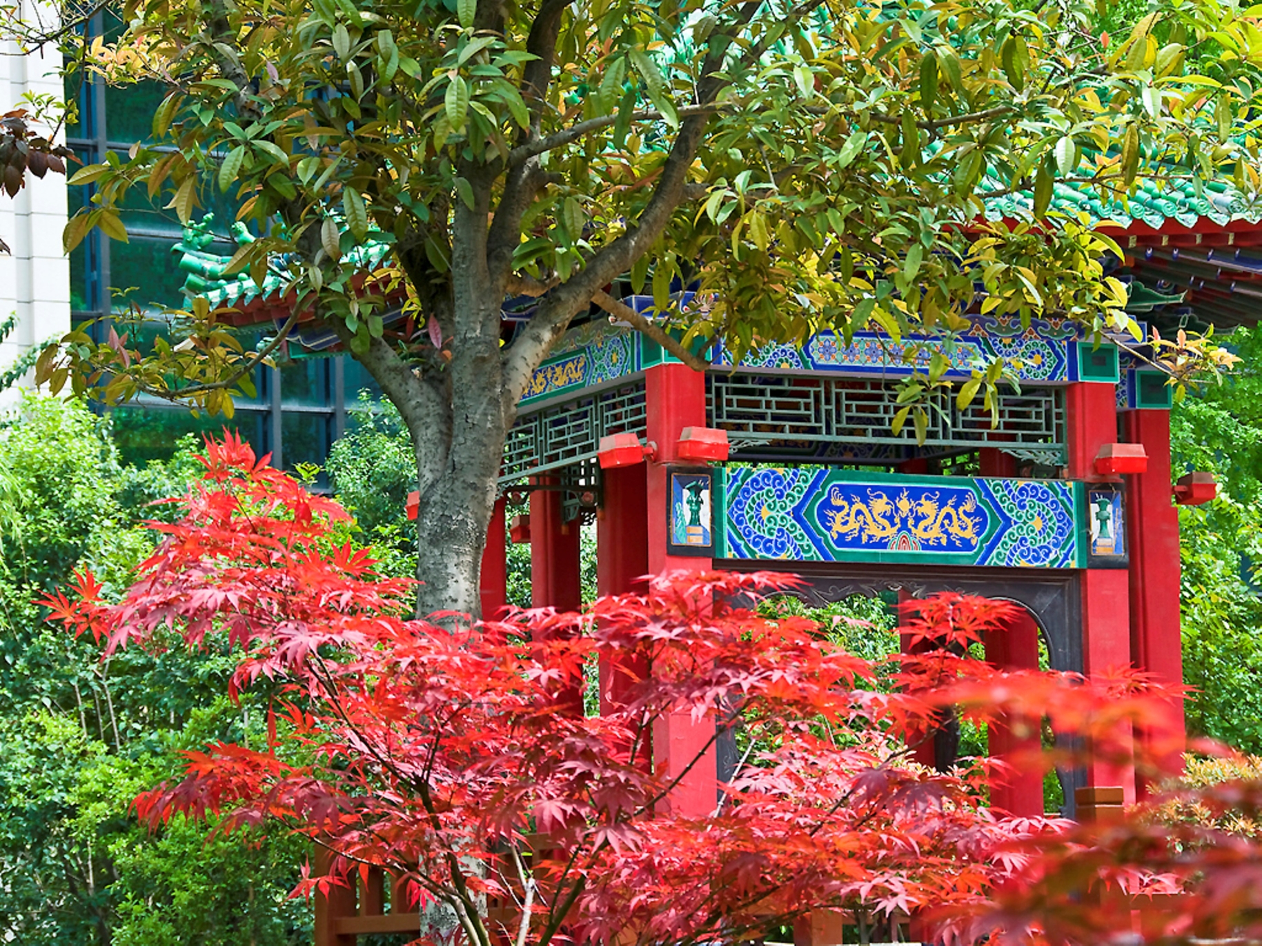 Sofitel Xian on Renmin Square