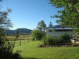 Staple House