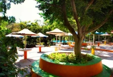 Piedras De Sol Solaris Morelos