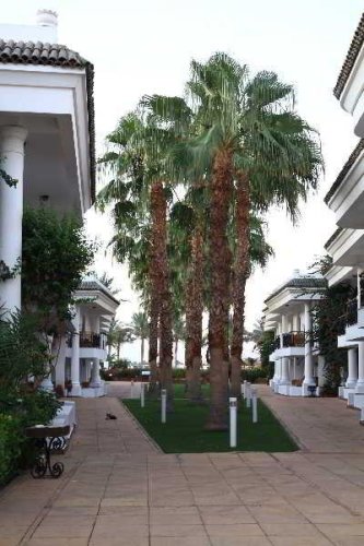 Seti Sharm
