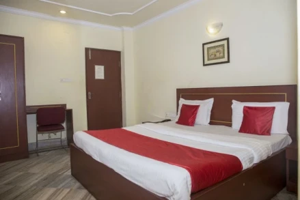 OYO 4209 Maurya Inn
