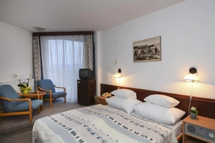 Hotel Helikon