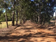 Blackwattle Farm B&B and Farm Stay