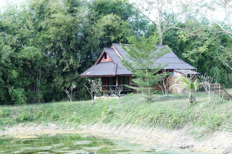 Baan Ricky Motocross And Enduro Track