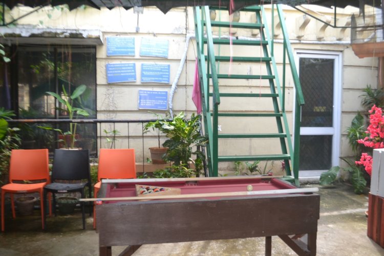 Wellnessland Wholeness Center