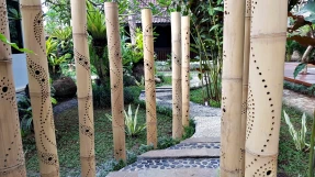 Canvas Escape Resort