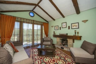 Olive Tree Studio