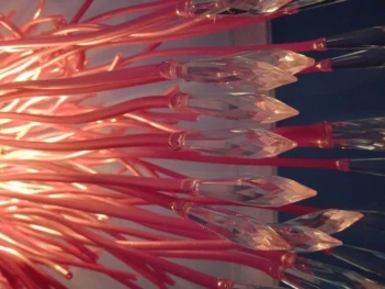 CSI Coimbra Club & Guest House