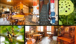 Stone House Homestay
