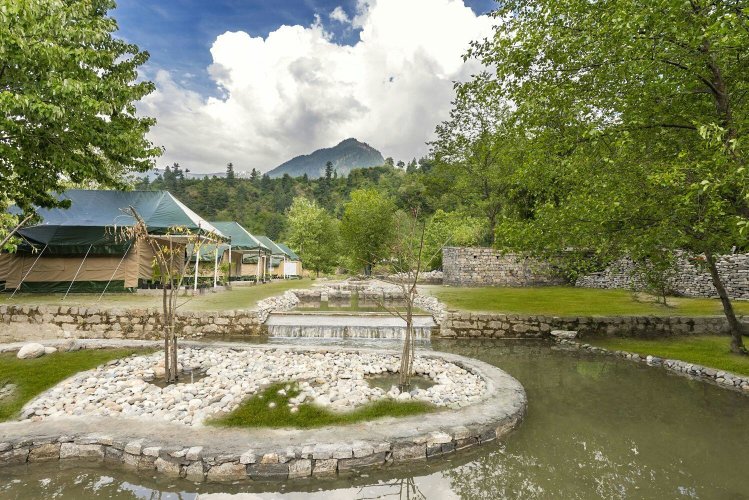 Tall Trees Resort