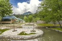 Tall Trees Resort
