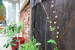 The Old House Chiayi B&B