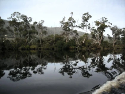 Port Huon Cottages
