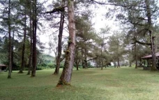 Hotel Taman Piknik By Myhome Hospitality