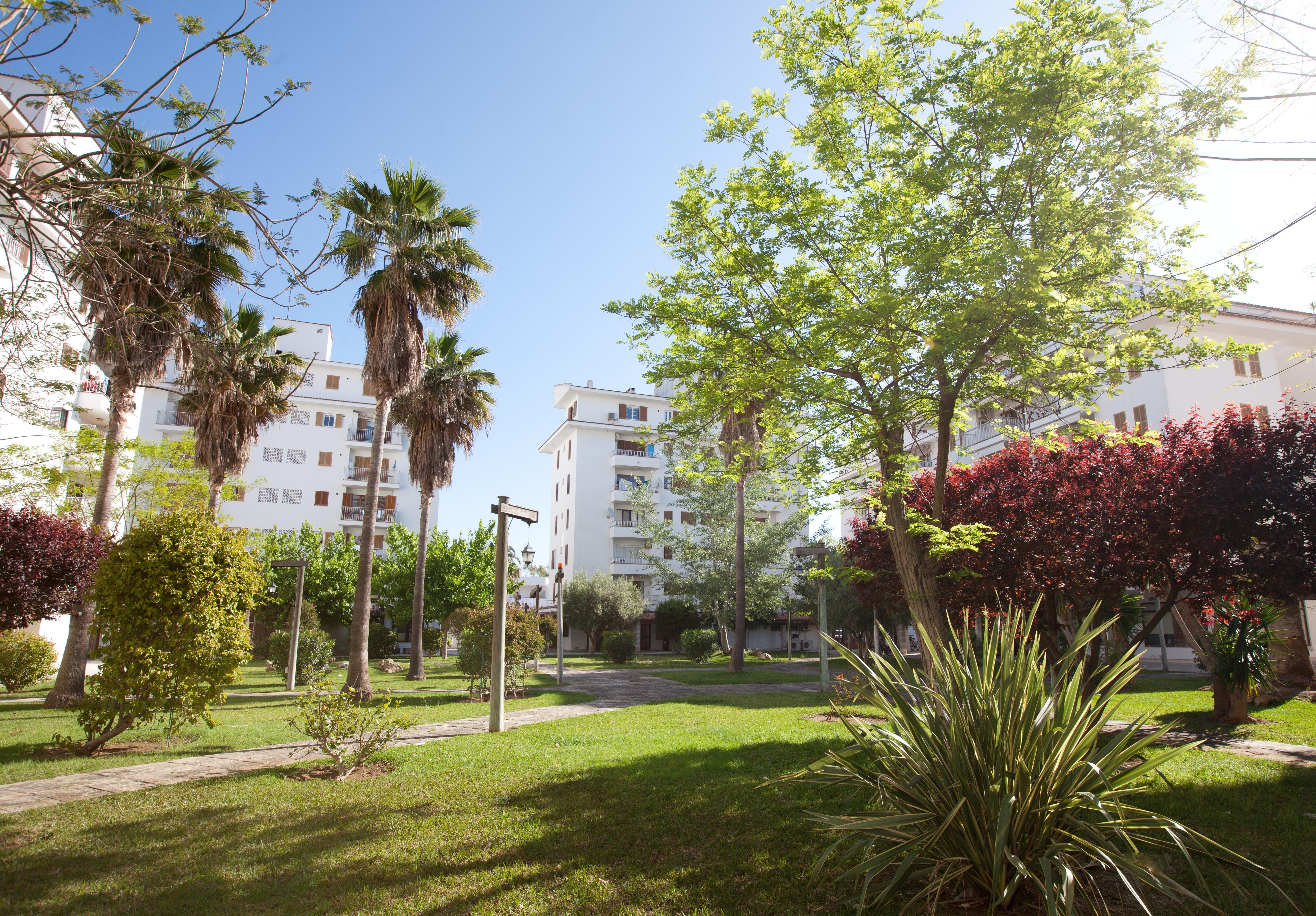 Apartamentos Ferrer Lime Tamarindos