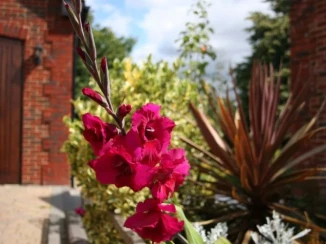 Millers House