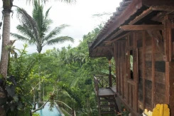 DD Ubud Jungle Villa