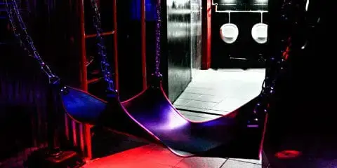 Freedom Party