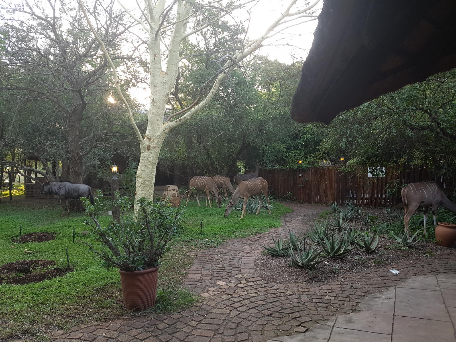 Phumula Kruger Lodge and Safaris