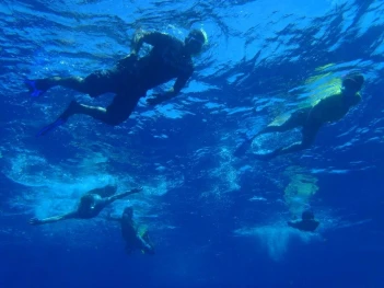 Maravu Plantation Beach Resort Spa