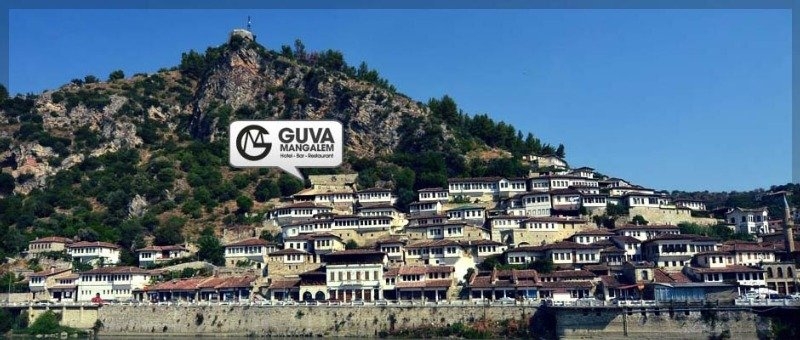 Guva