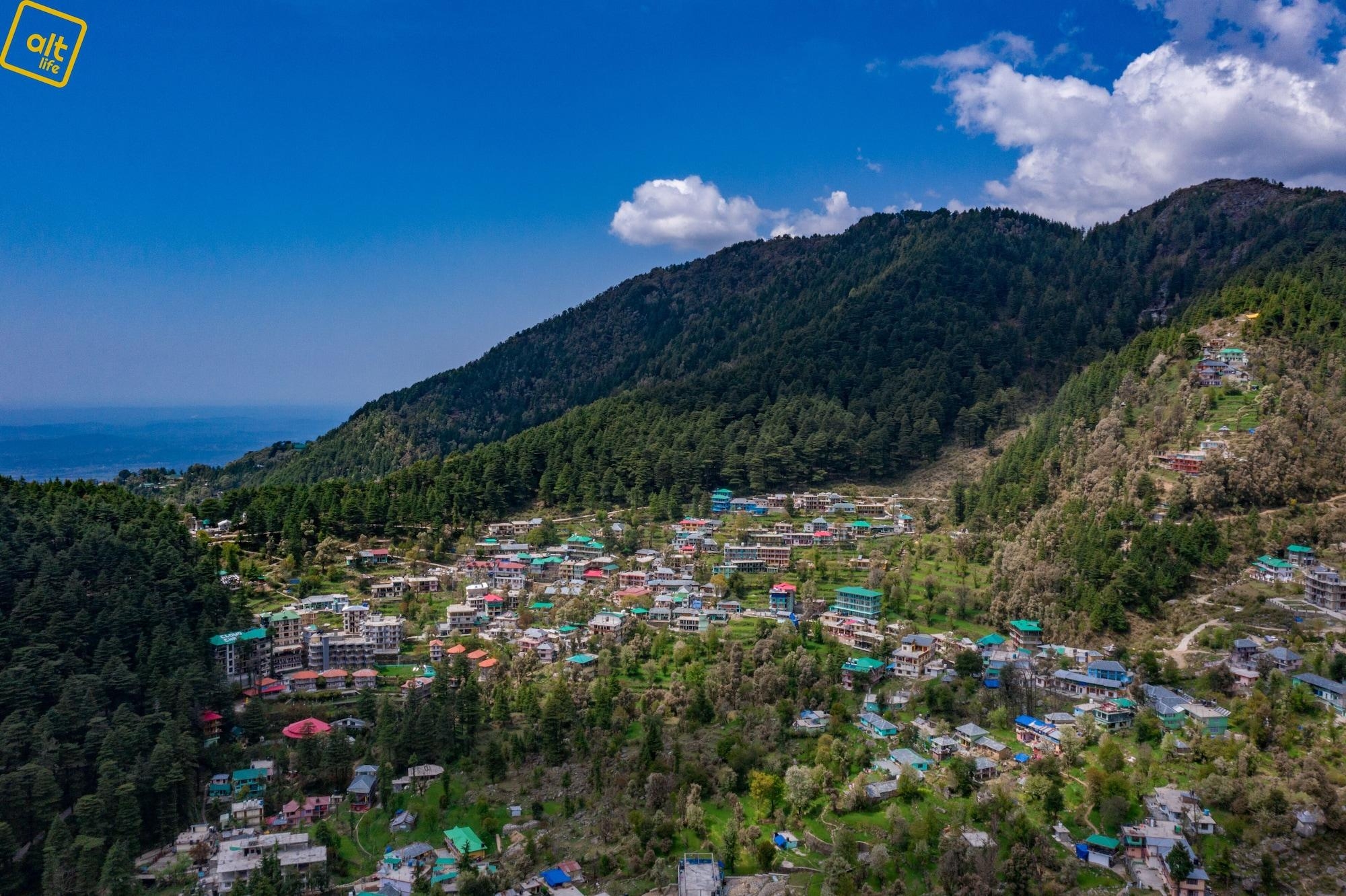Alt Life - Dharamkot