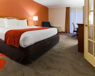 Comfort Inn & Suites Airport