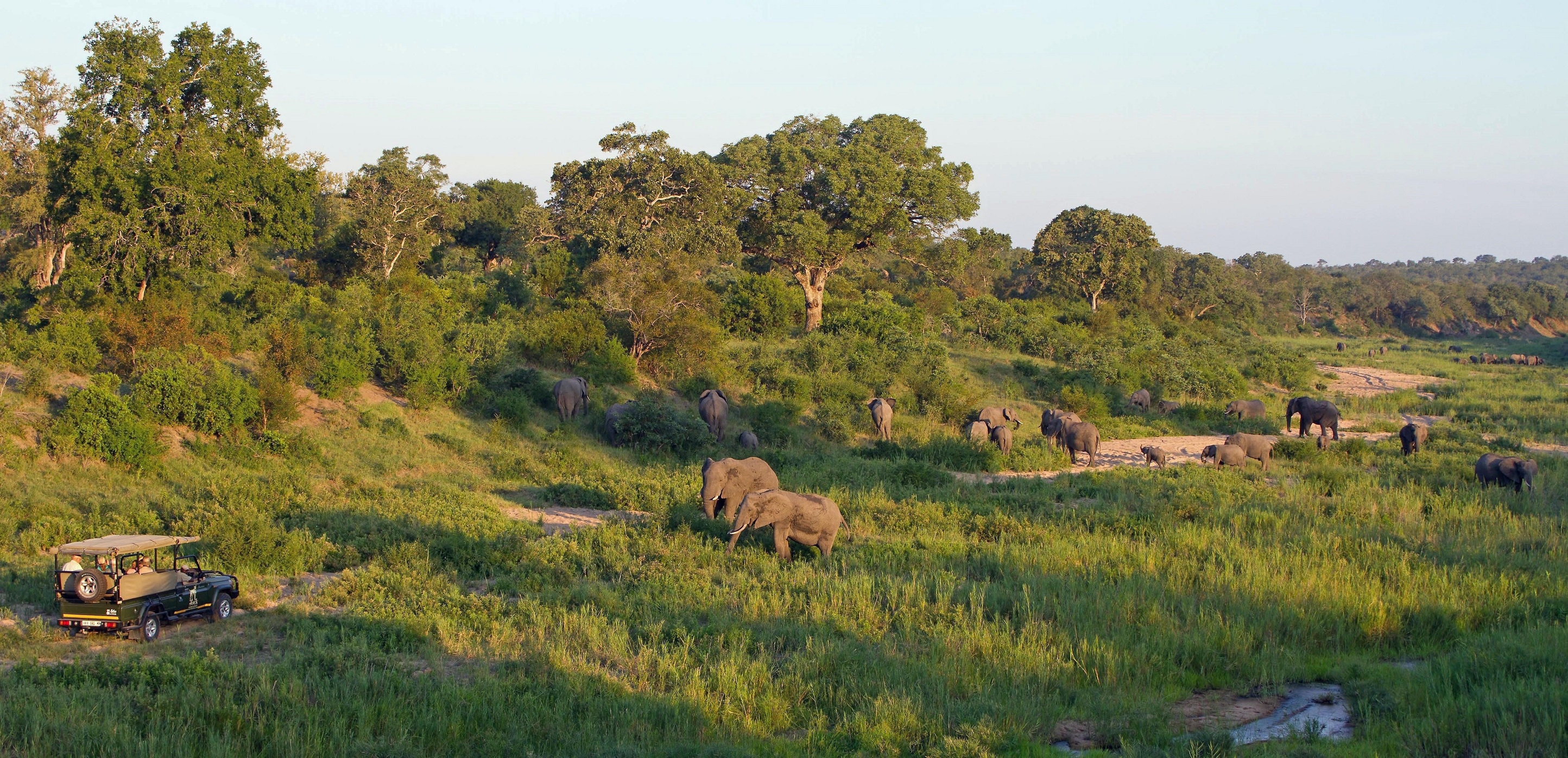 Jock Safari Lodge
