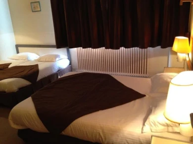 Hotel Continental Contact Hotel