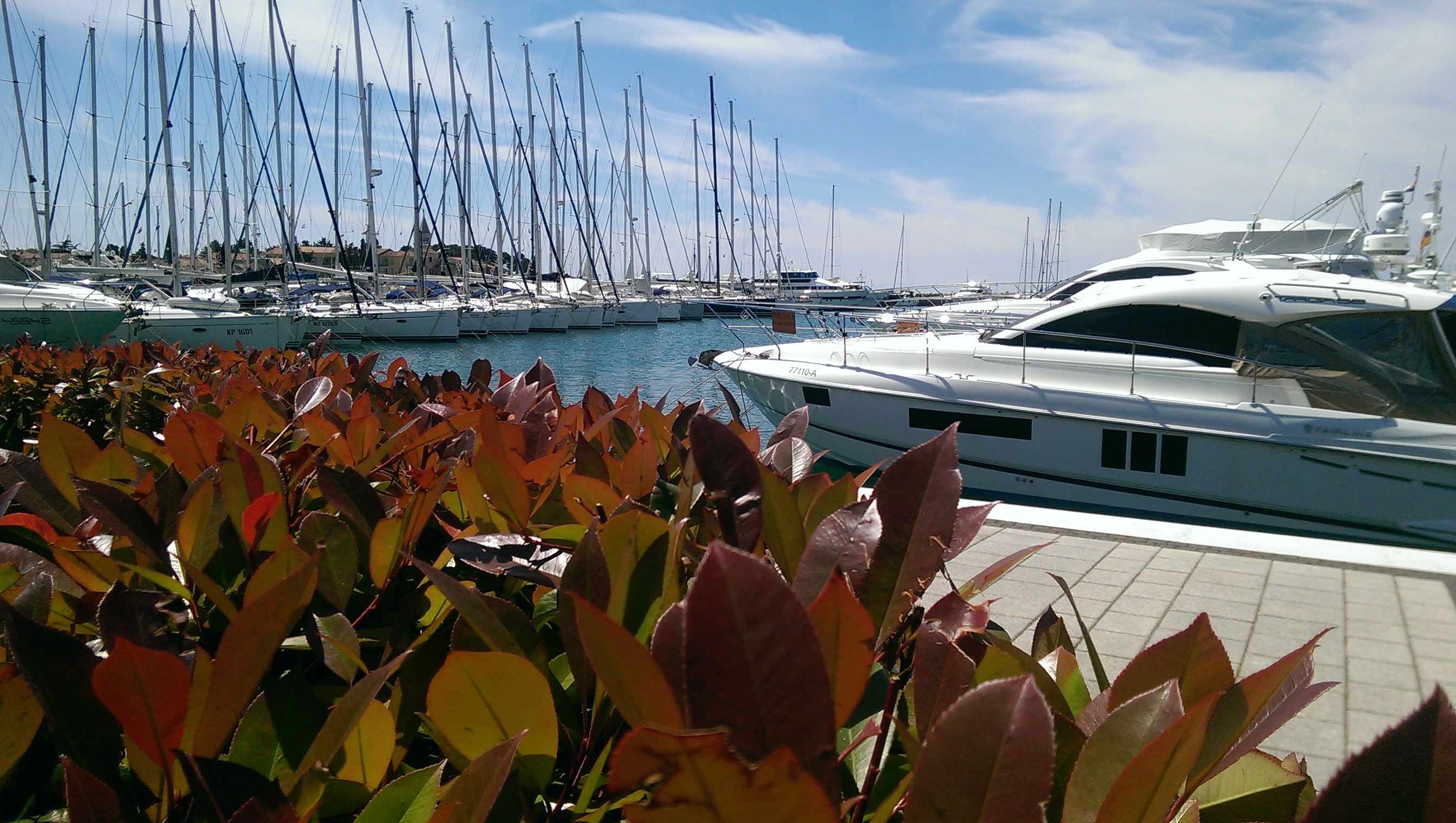 Hotel Nautica