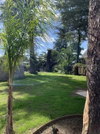 The Greens Hotel - Stockton Blvd