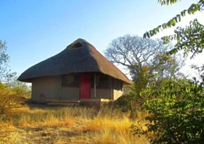 Dimba Safaris
