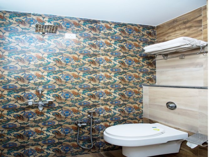 OYO 10893 Hotel Divine Inn