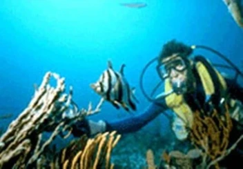 Cozy Chalet Perhentian Island