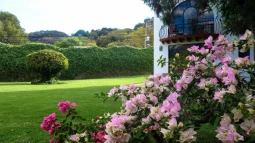 Colibrí Hotel B&B