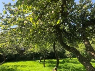 Endsleigh Park