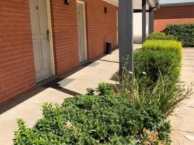 Young Federation Motor Inn