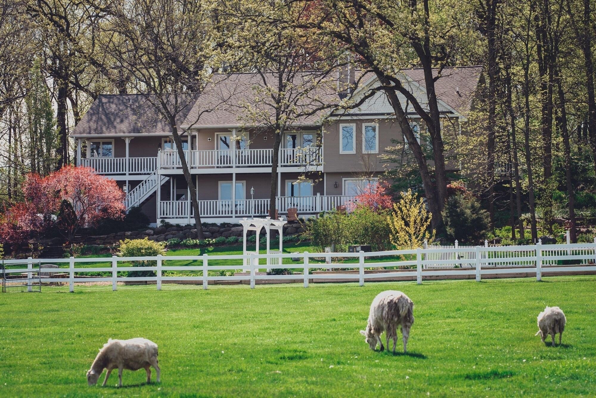 The Speckled Hen Inn Bed And Breakfast