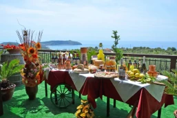 Il Poggio del Cardinale