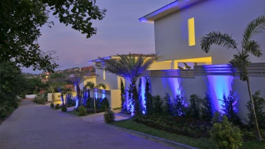 Samui Blue Orchid - Adult Only