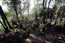 Kinabalu Private Lodges