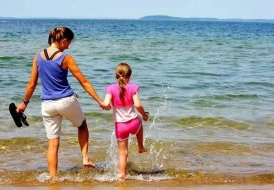 Fairfield Inn By Marriott Traverse City
