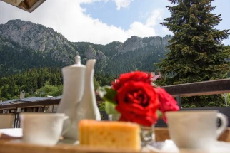 Arktos Suites