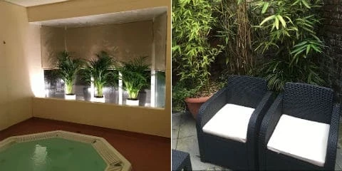 Free Entry For T-Girls Free Entry For T-Girls