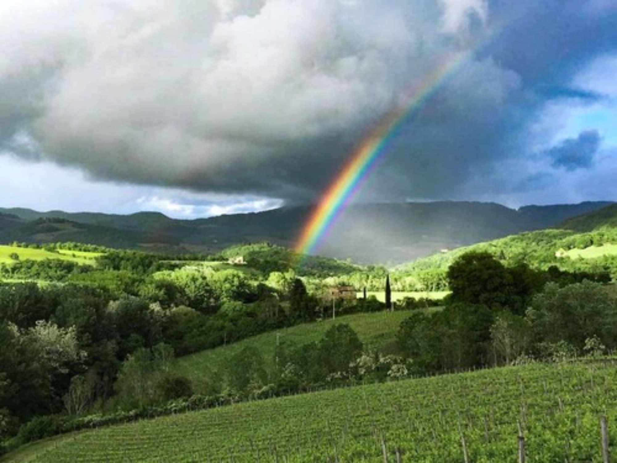 Tenuta CorteDomina