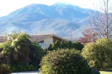 Bogong Moth Motel