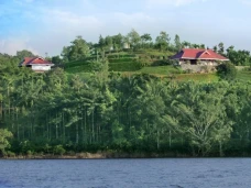 Arayal Resorts: A Unit of Sharoy Resort, Wayanad