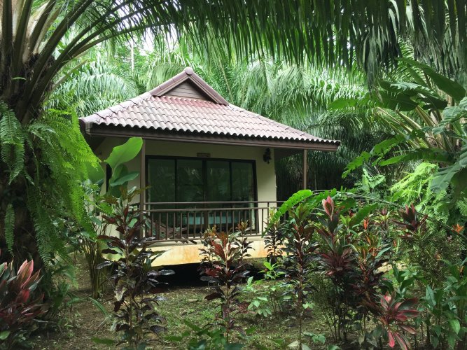 Khao Sok Palm Garden Resort